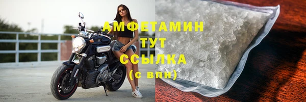 шишки Бронницы
