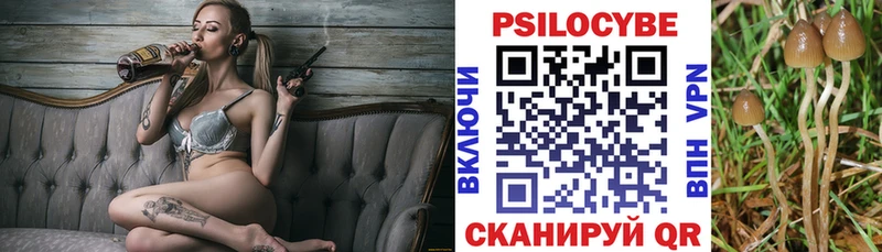 Псилоцибиновые грибы Magic Shrooms  Воскресенск 